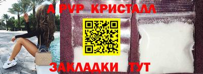 гашик Донской