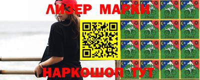 стаф Дубна