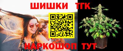 стаф Дубна