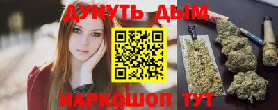 стаф Дубна