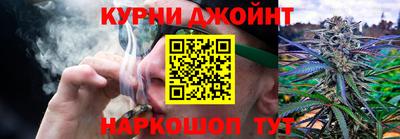 стаф Дубна