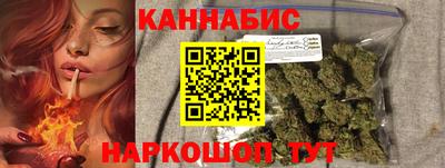 стаф Дубна
