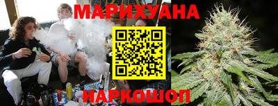стаф Дубна
