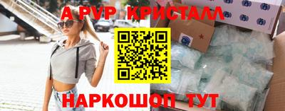 гашик Донской