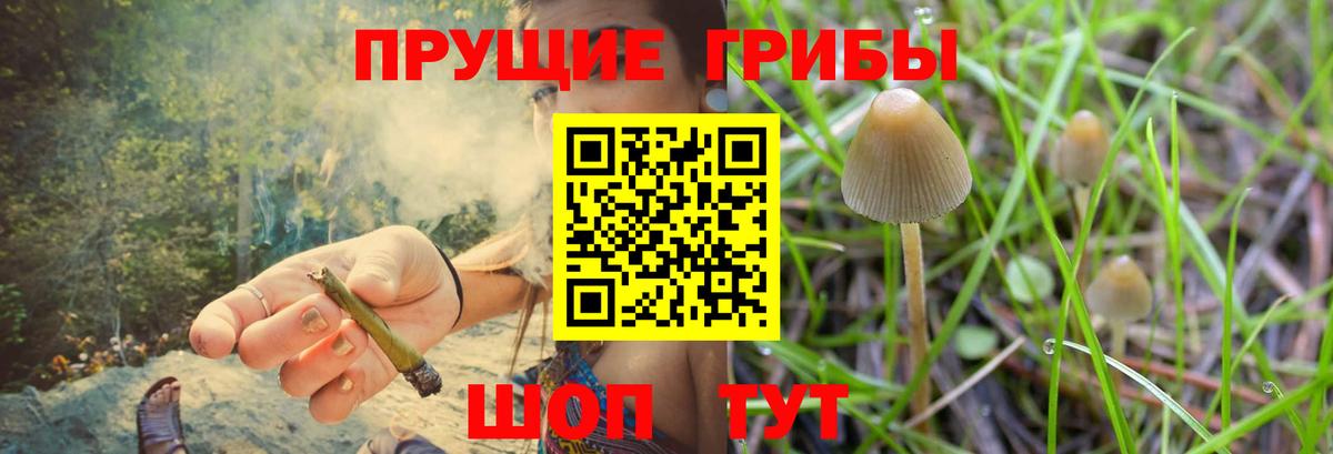 Красноармейск  Псилоцибиновые грибы MAGIC MUSHROOMS  Вход с VPN 