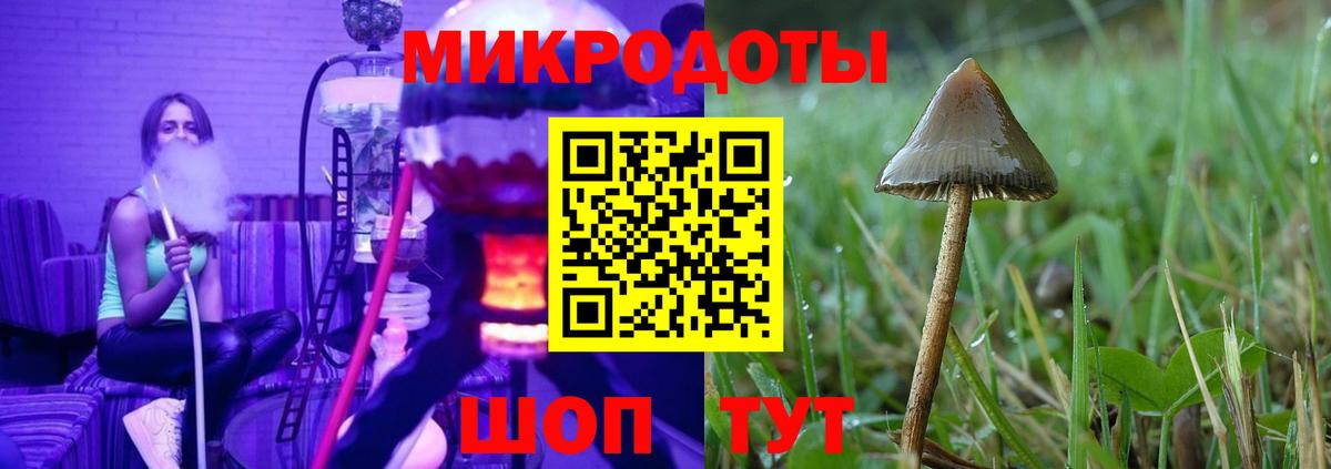 Галлюциногенные грибы Psilocybe Красноармейск
